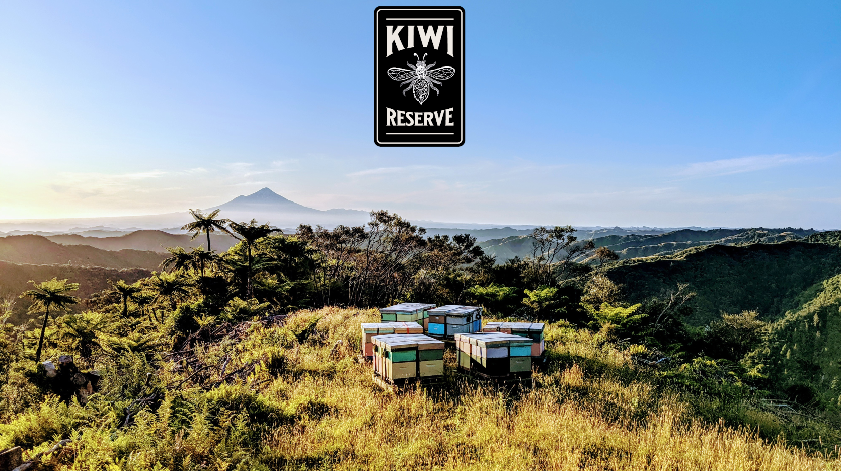 Kiwi Facts – KiwiReserve